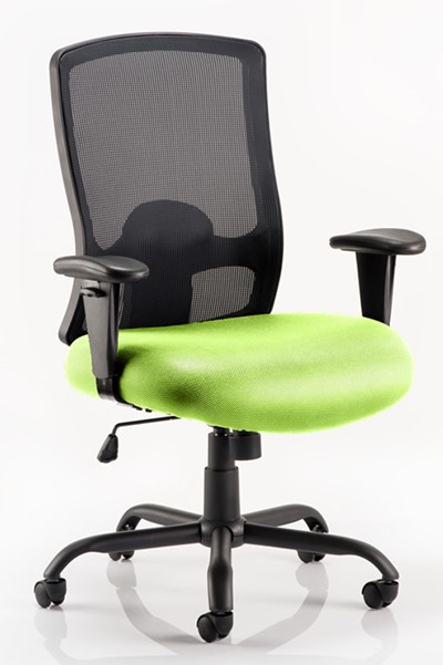 Atlas Bariatric Chair