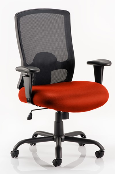 Atlas Bariatric Chair