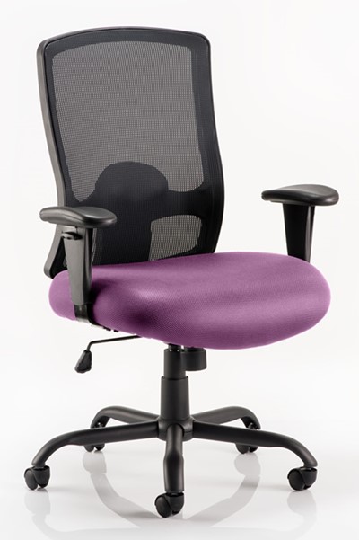 Atlas Bariatric Chair